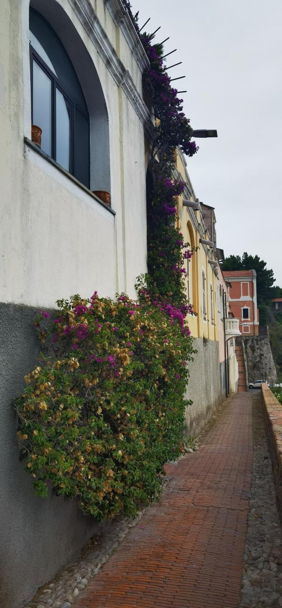 Casa Eden Apartment Ventimiglia Bagian luar foto
